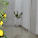 Menta E Limone 3* Paestum