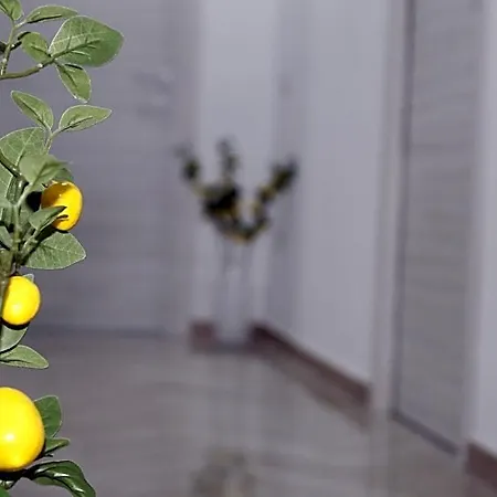 Menta E Limone